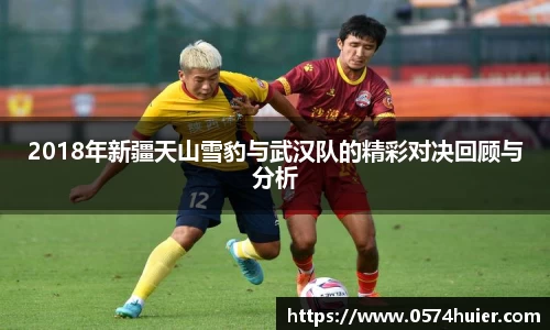 2018年新疆天山雪豹与武汉队的精彩对决回顾与分析